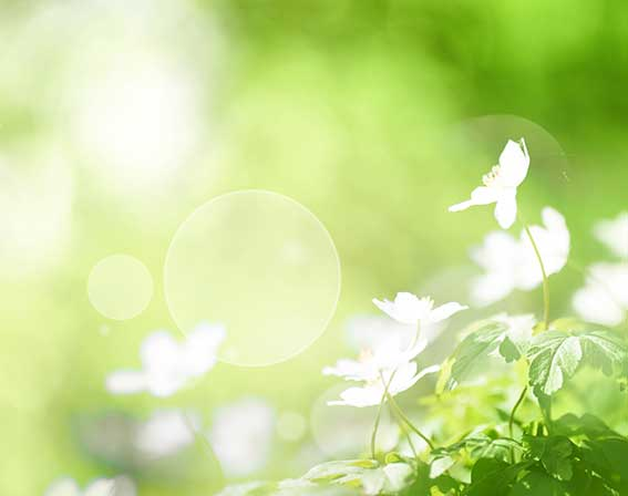 Verletzungen & Erste Hilfe