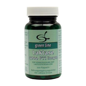 LAKTASE 4.000 FCC Enzym Kapseln